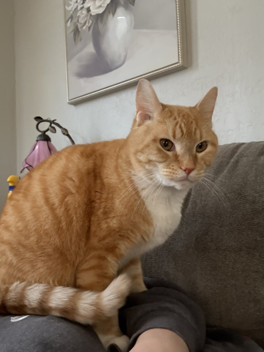 jessi 🌷 tweet media