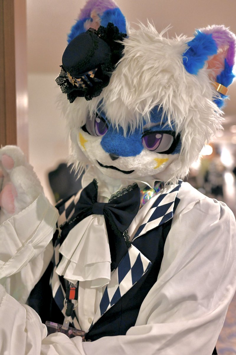 猫在看着你哦~

📷：<a href="/RukeNeko/">Ruke</a> 
#FursuitFriday
