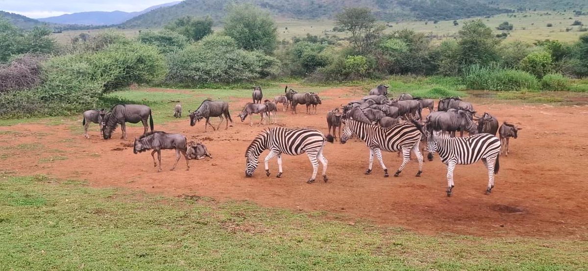 North West Parks & Tourism Board tweet media