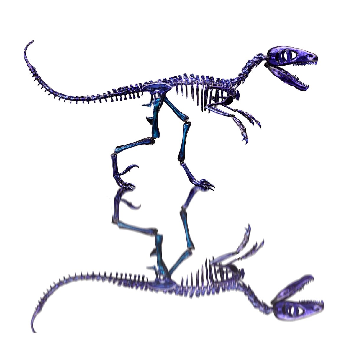 Koprolitos tweet media