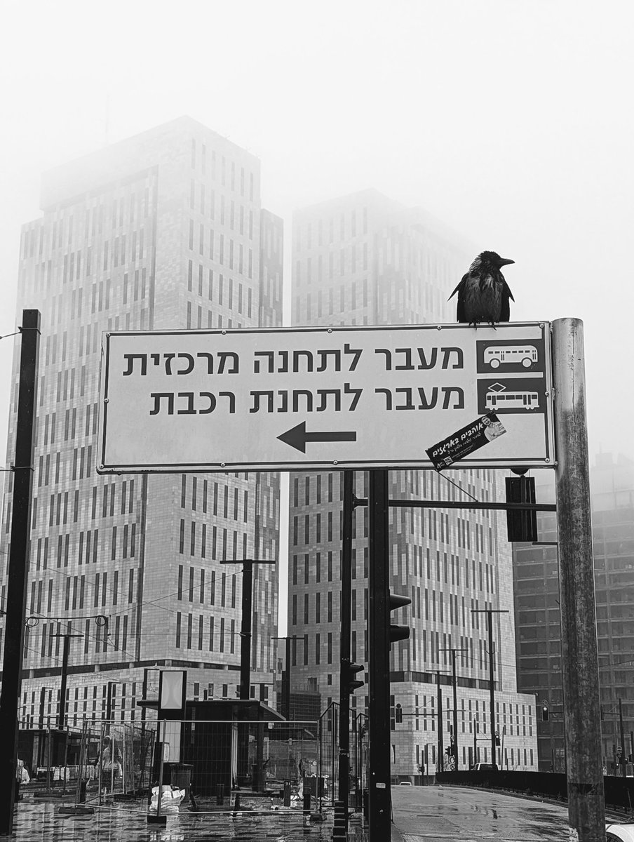 אדריכל tweet media