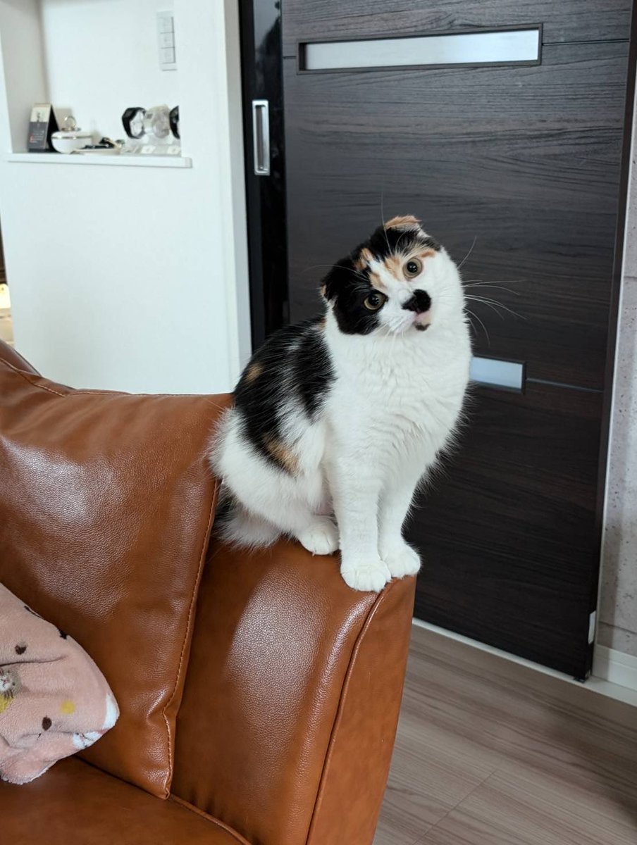 丸三安田瓦工業【公式】💙 tweet media