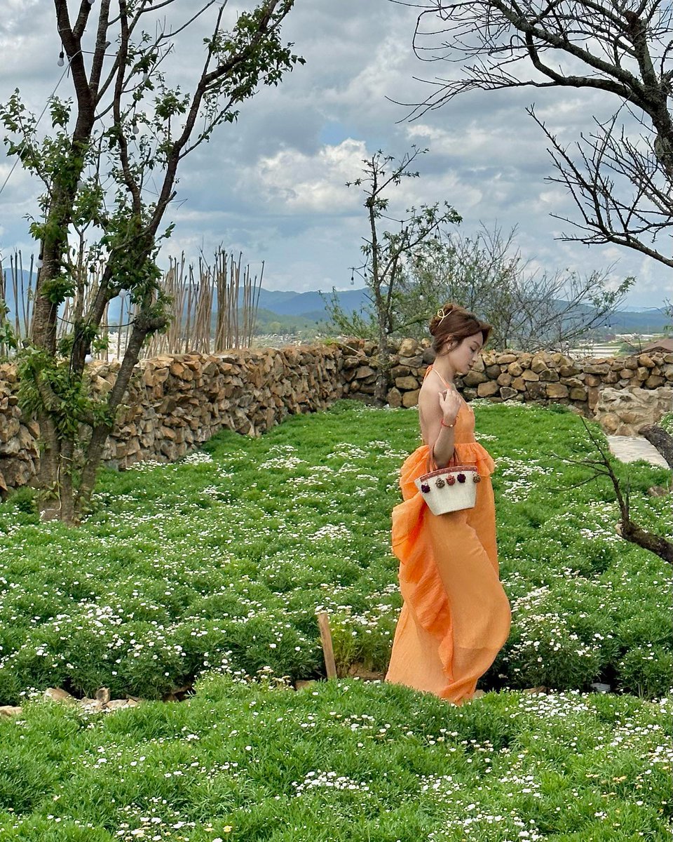 Davide Grieco tweet media