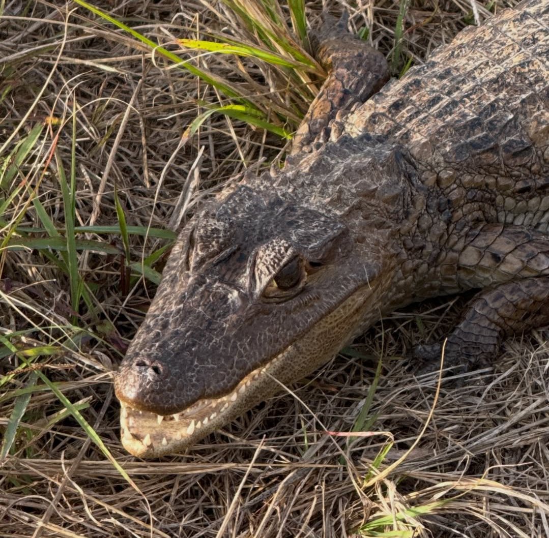 XANDER GEOGRAPHIC 🏕️ tweet media