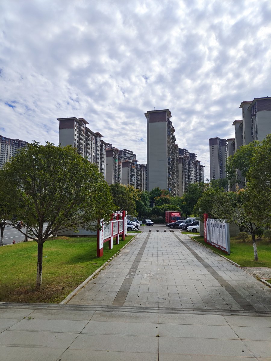 Fayha Mohammed tweet media