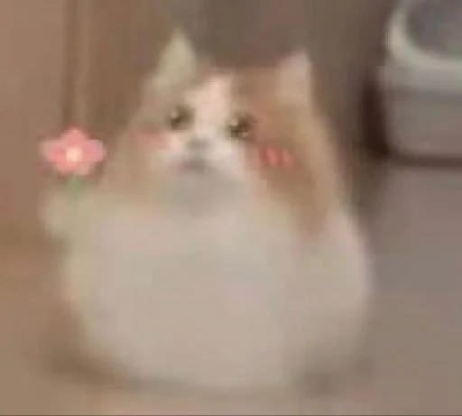 Albert J Daniel. tweet media