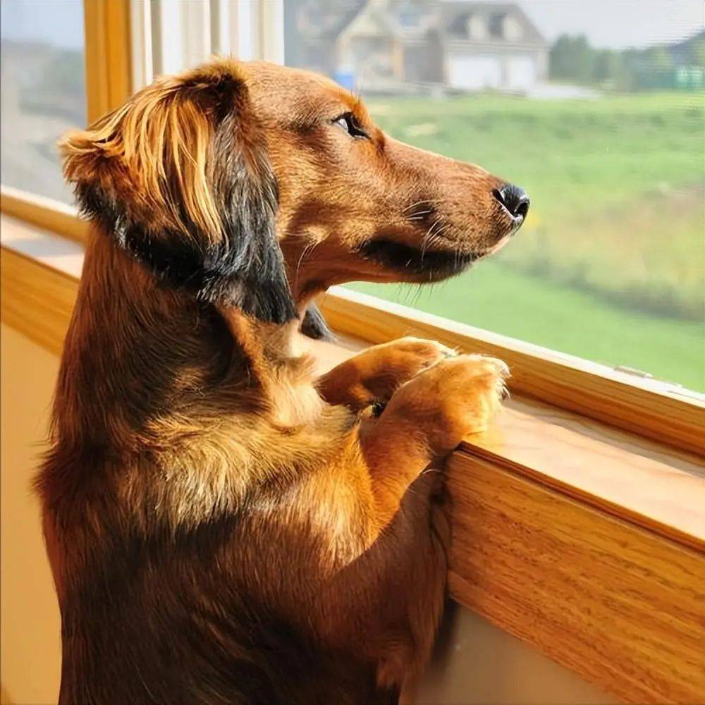 Michael Kobaia tweet media