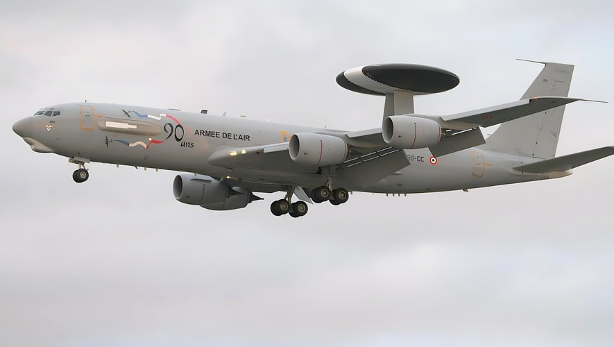 Little Think Tank tweet media