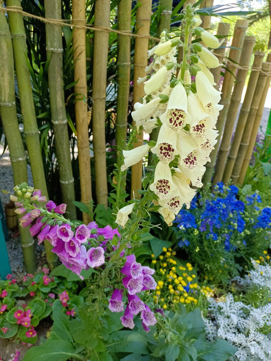 Edwin Dean tweet media