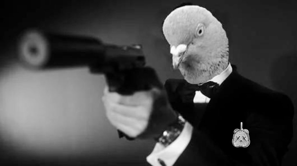 level941's tweet photo. Also look at @Photon_sol 

They made $100M off the people using their terminal. every dollar went to the treasury. zero went back to users.

Pigeon house built the fix. integrate our aggregator. 0.5% per trade stays on-chain, automatic. the other 1% burns PIGEON in the same transaction. no custody. no promises. math. Your volume will return because there’s a base asset that returns value. No airdrops. Supply and demand. 

PIGEON