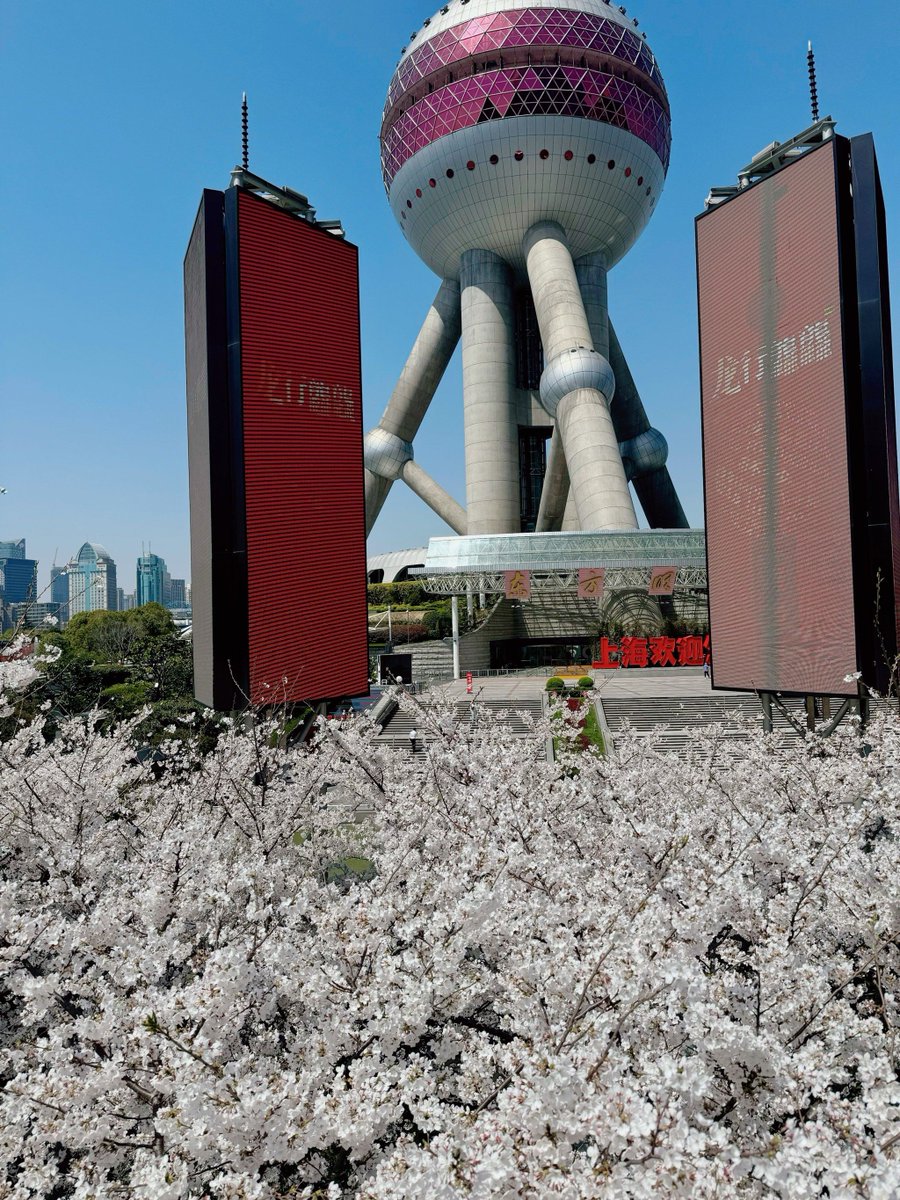 Bianca Teixeira tweet media