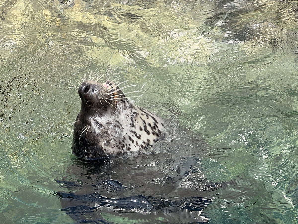 bui🐈🦭 tweet media