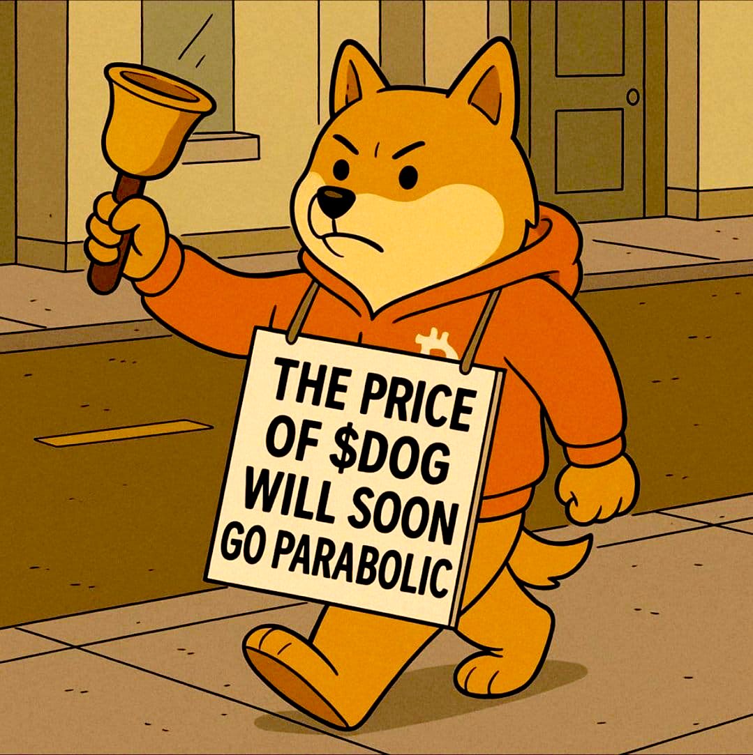 Lina 🌊🐳 tweet media