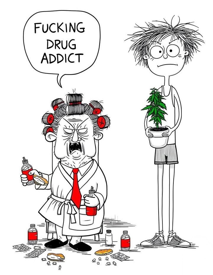 Artek Swaróg🌿💨🇵🇱 tweet media