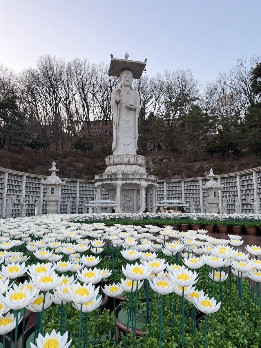 เรย์นูน่านาน่า💚 tweet media