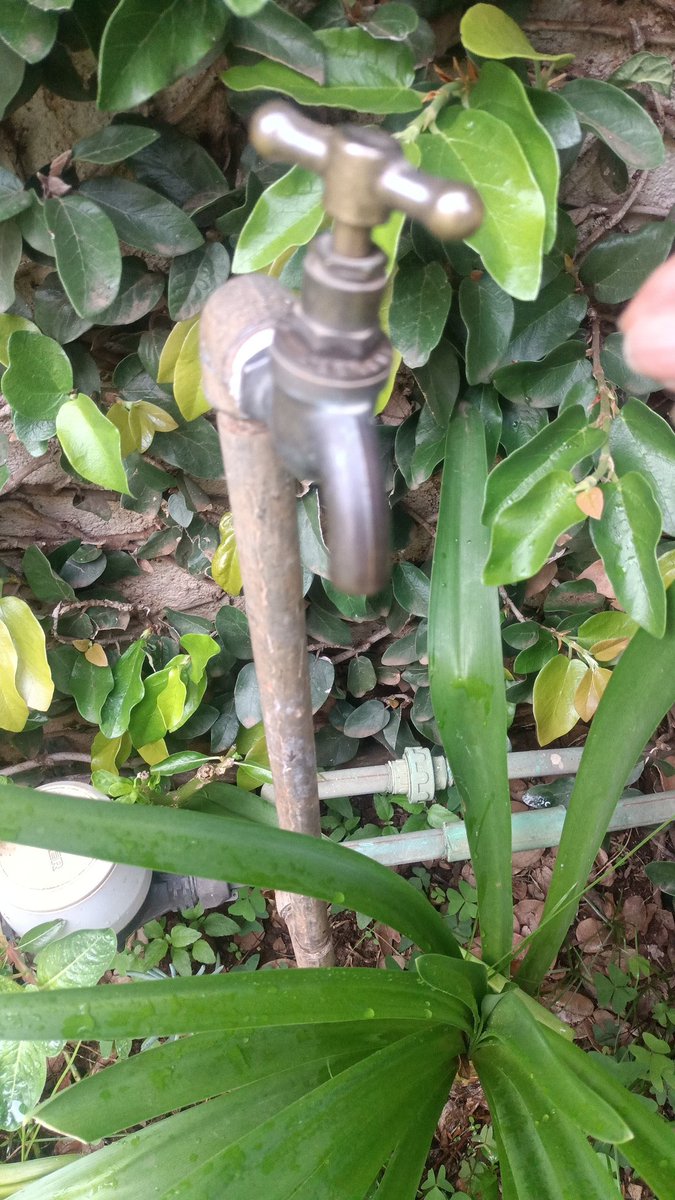 LadyRehema's tweet photo. How is it Nairobi Dam is at capacity and yet our taps in Ngummo have been perpetually dry? Yet we receive water bills faithfully 😤 @SakajaJohnson we pay our rates on time and in full @dngkenya @NairobiWater #2027 #NikoKadi https://t.co/G8lSbFu8El