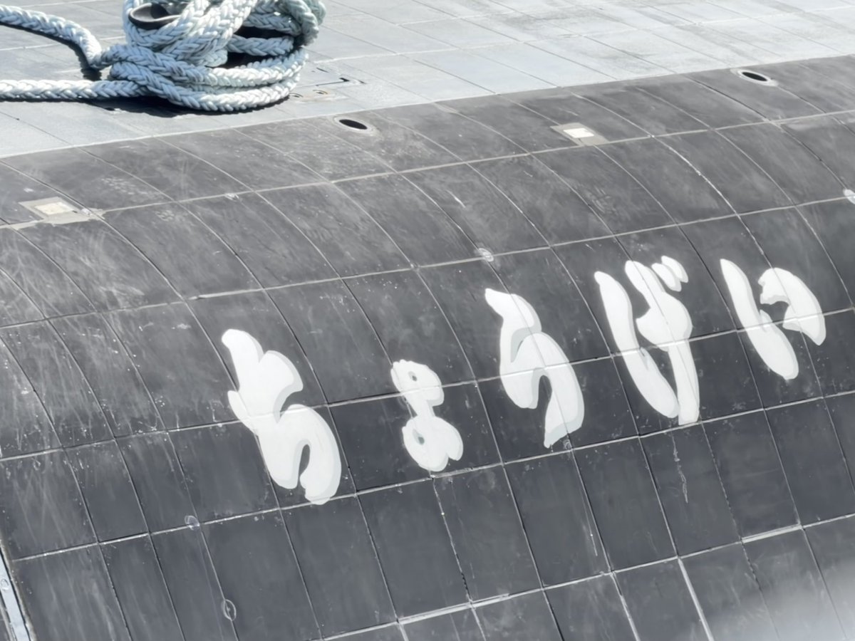 ୧⃛(๑⃙⃘•ω•๑⃙⃘)୨⃛🤸‍♂️す～りあ ☀︎.° 🧘‍♀️ tweet media