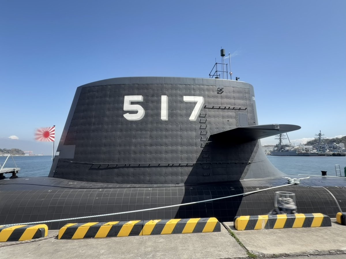 ୧⃛(๑⃙⃘•ω•๑⃙⃘)୨⃛🤸‍♂️す～りあ ☀︎.° 🧘‍♀️ tweet media