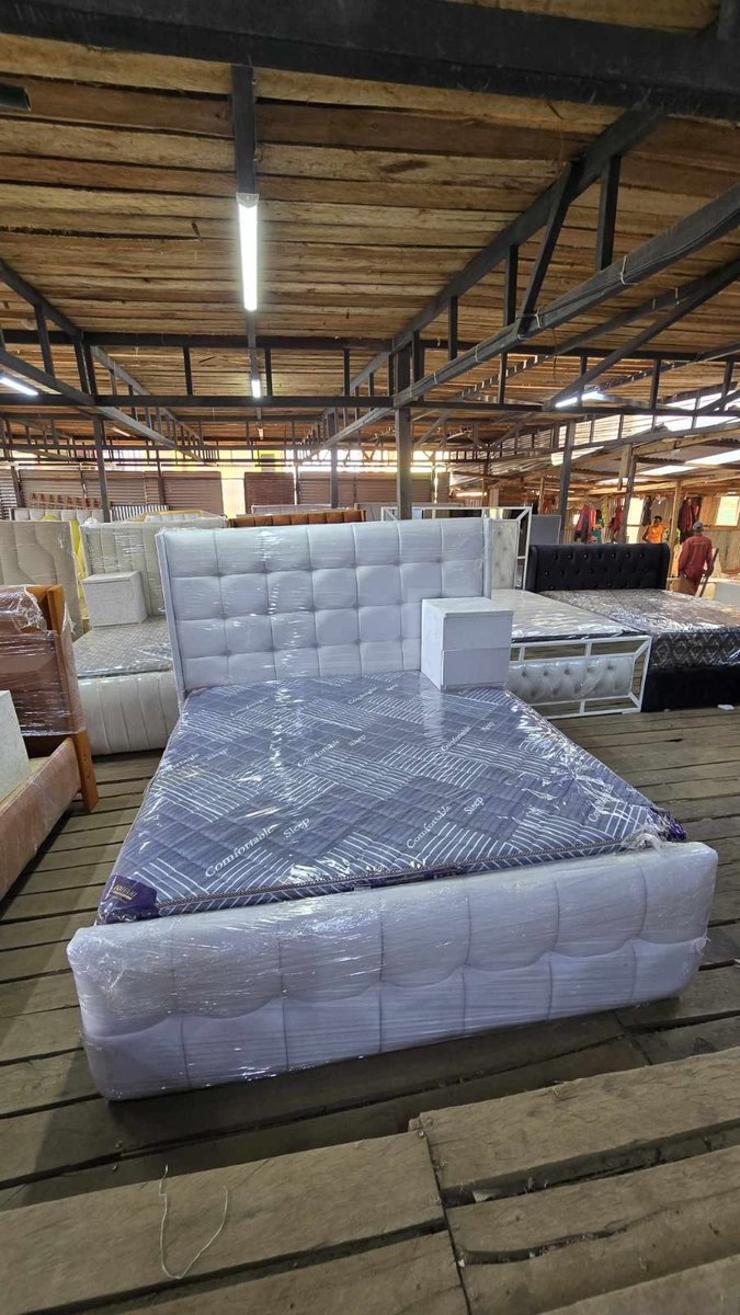 Ignatius tweet media