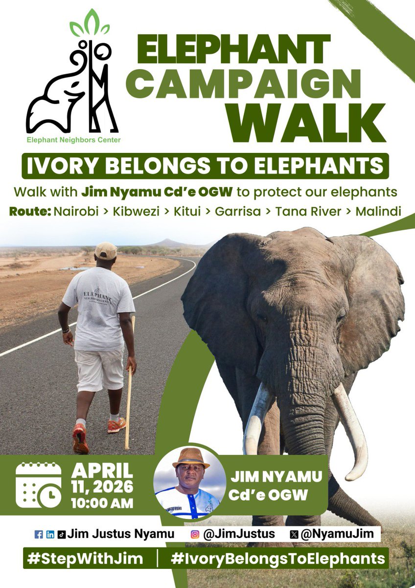 Ivory Belongs to Elephants tweet media