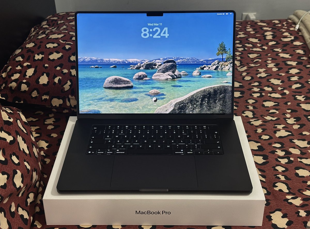 Amn || Designer tweet media