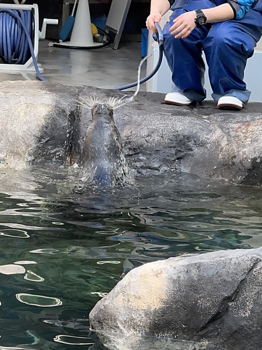 bui🐈🦭 tweet media