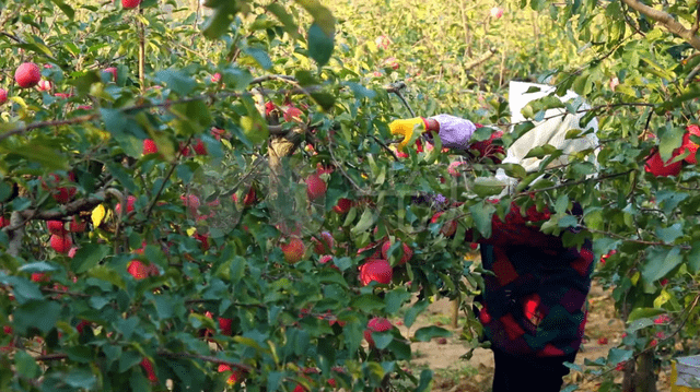 Jacky Aubert tweet media