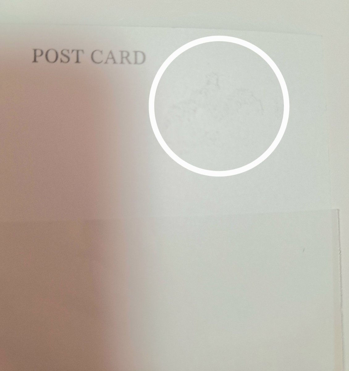 ちょこ tweet media