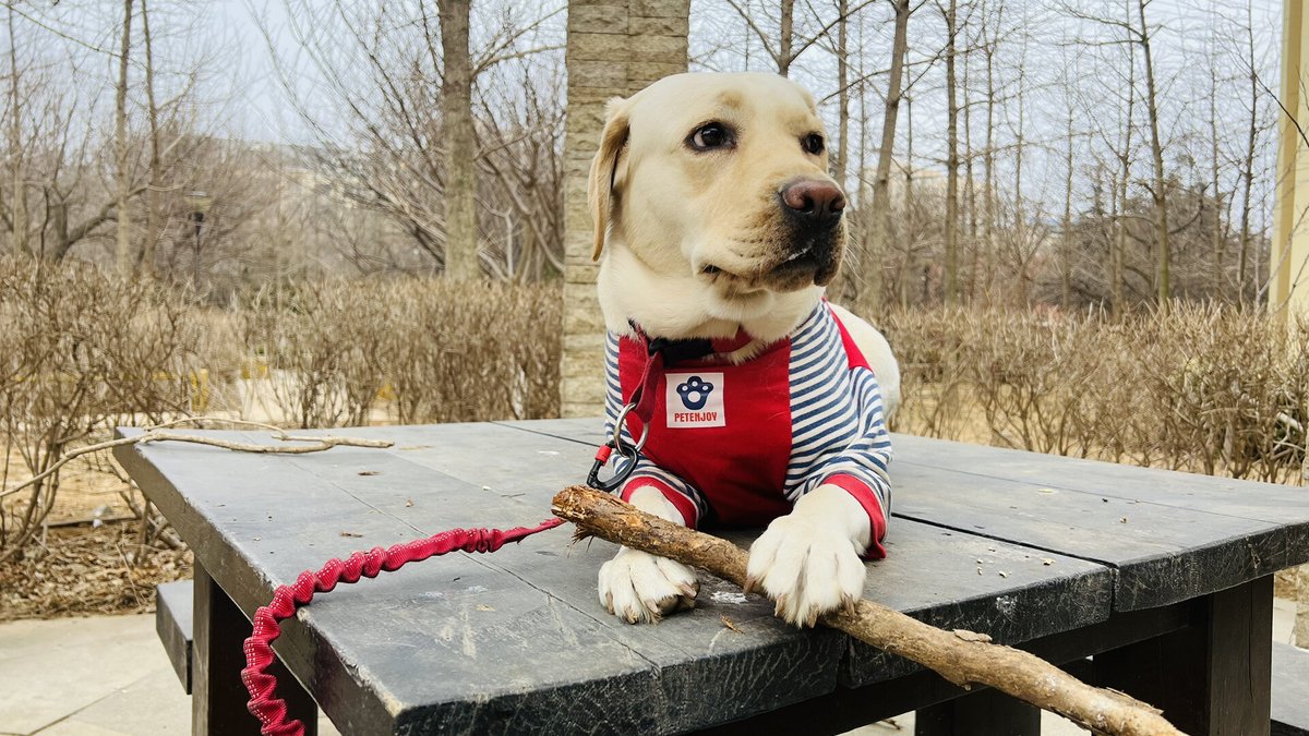 nicholas becker tweet media