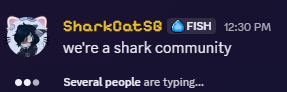 SharkCatSG (Comms Closed) tweet media