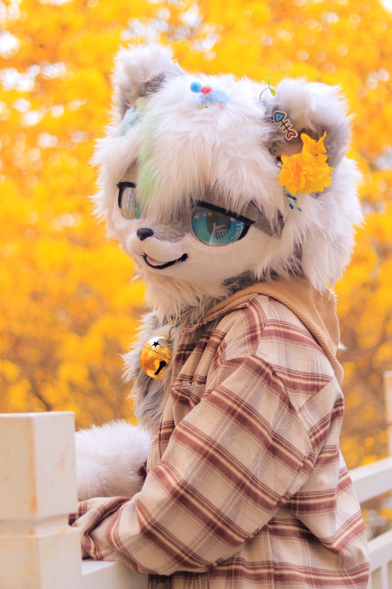 Ruko_青沐🌿 tweet media