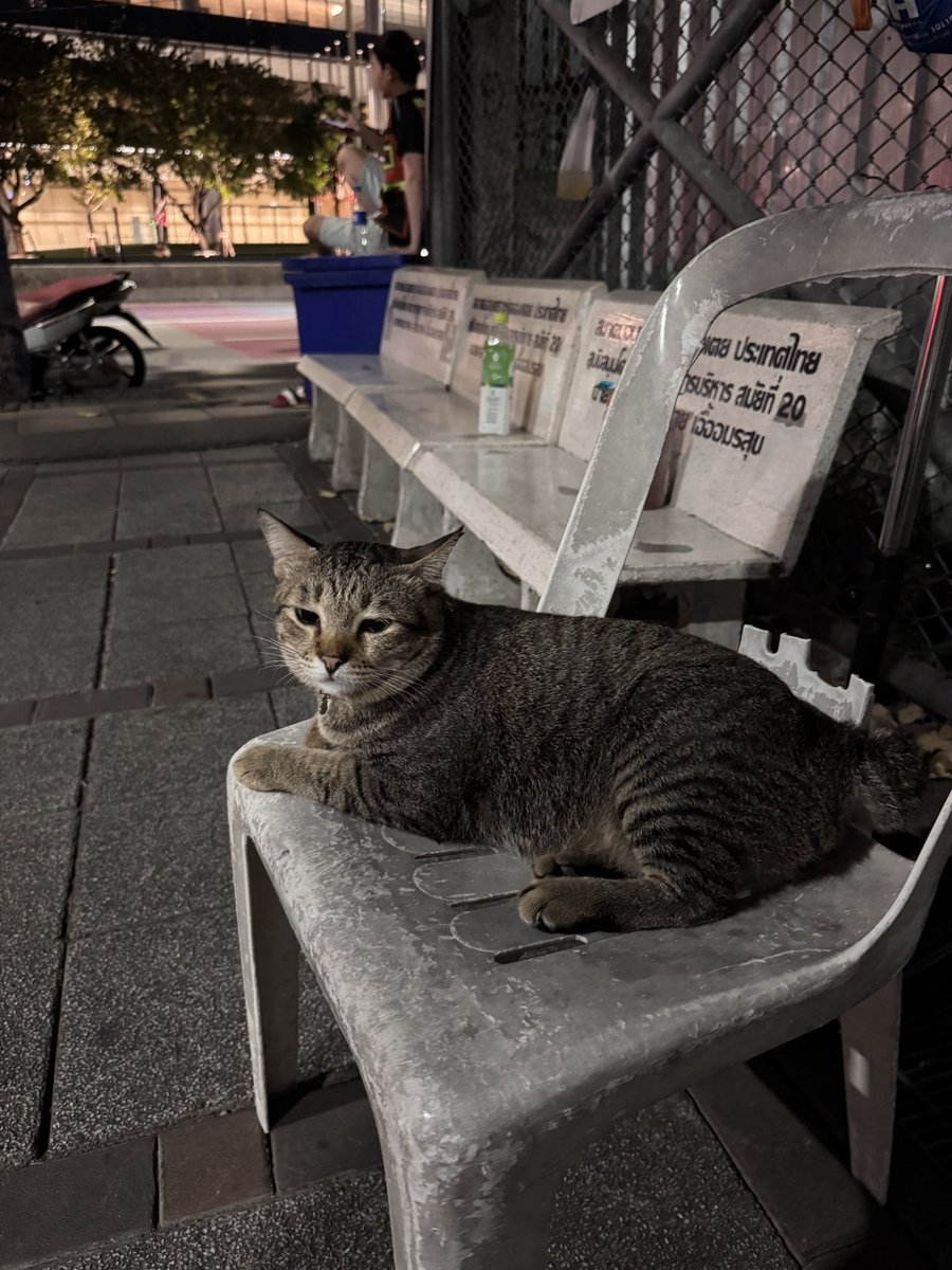 ❅ ⋆꙳. 𝚠𝚒𝚜𝚑 .꙳⋆❅ 🐻‍❄️🫶🏻 tweet media