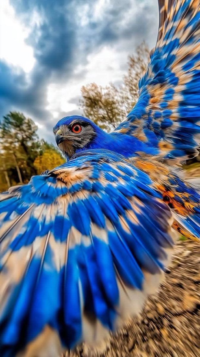 ✨CaNSıN✨ tweet media