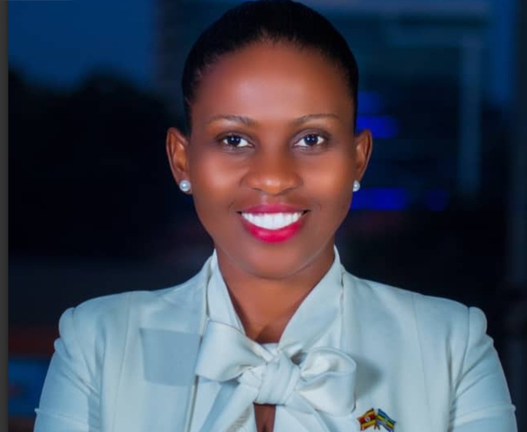 PML Daily tweet media