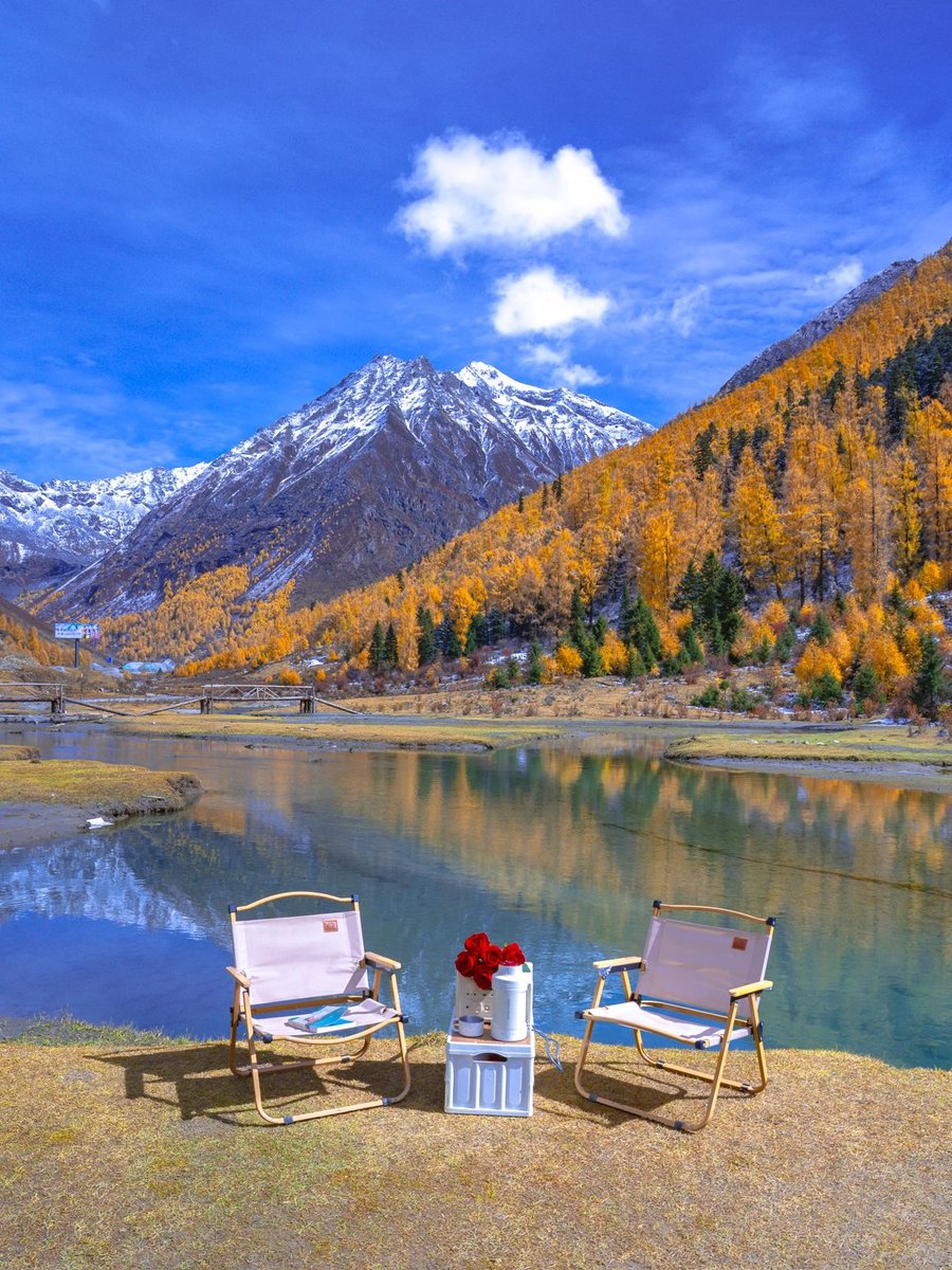 doris mcquain tweet media