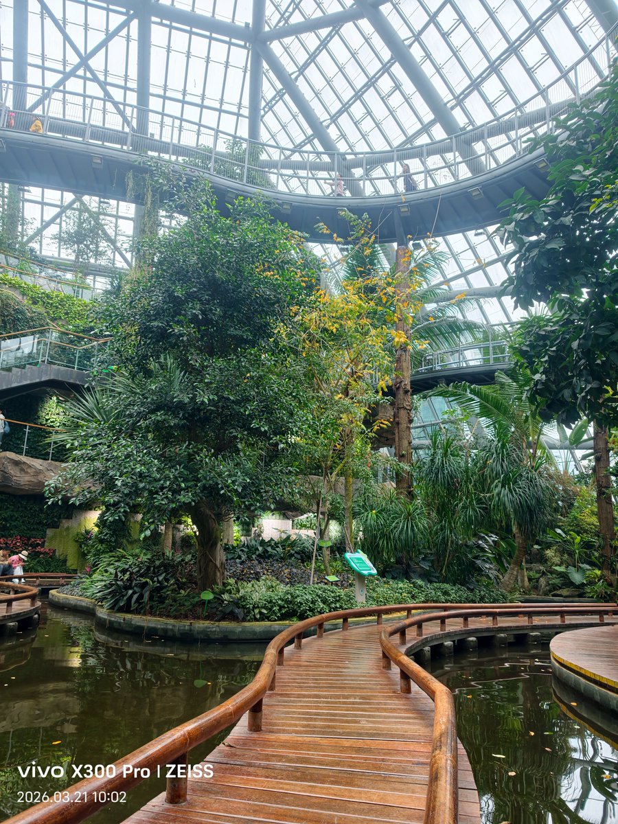 cnshaolin2's tweet photo. Garden in the southern  city of China. https://t.co/8sg3BSVHYM