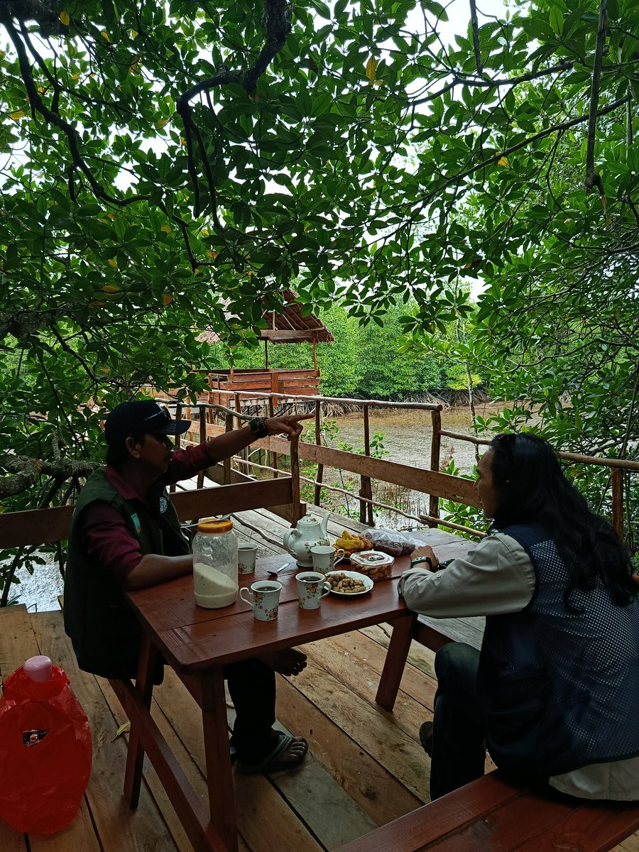 endoffbeginning's tweet photo. keretak Mangrove Nujau https://t.co/nR24yPcelF