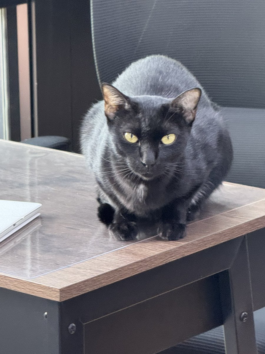 Fi0_Cosplayer | R E S T 💤 tweet media