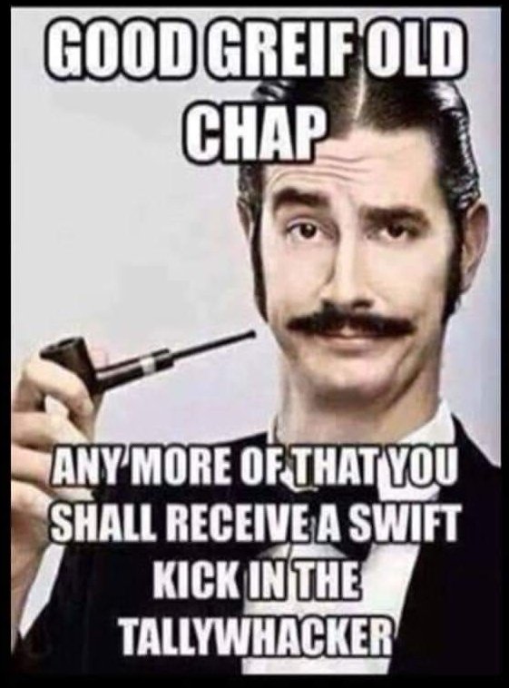 The New Zealand Rocketeer tweet media