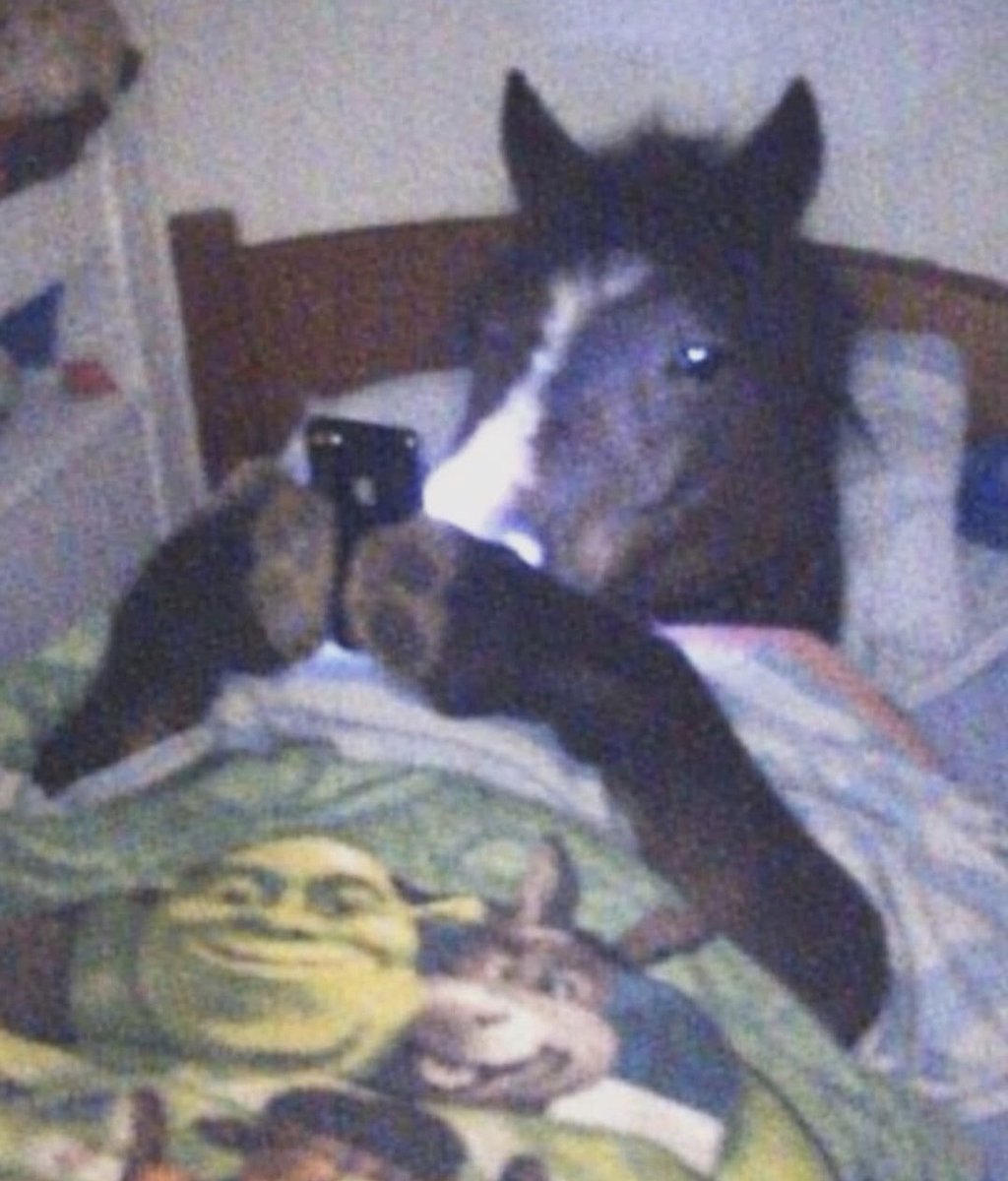 IBRAND22 tweet media