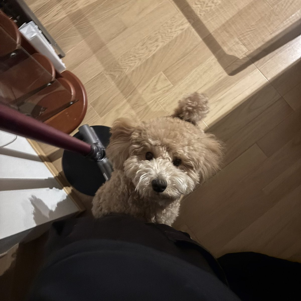 Tsuchiyan📦 tweet media