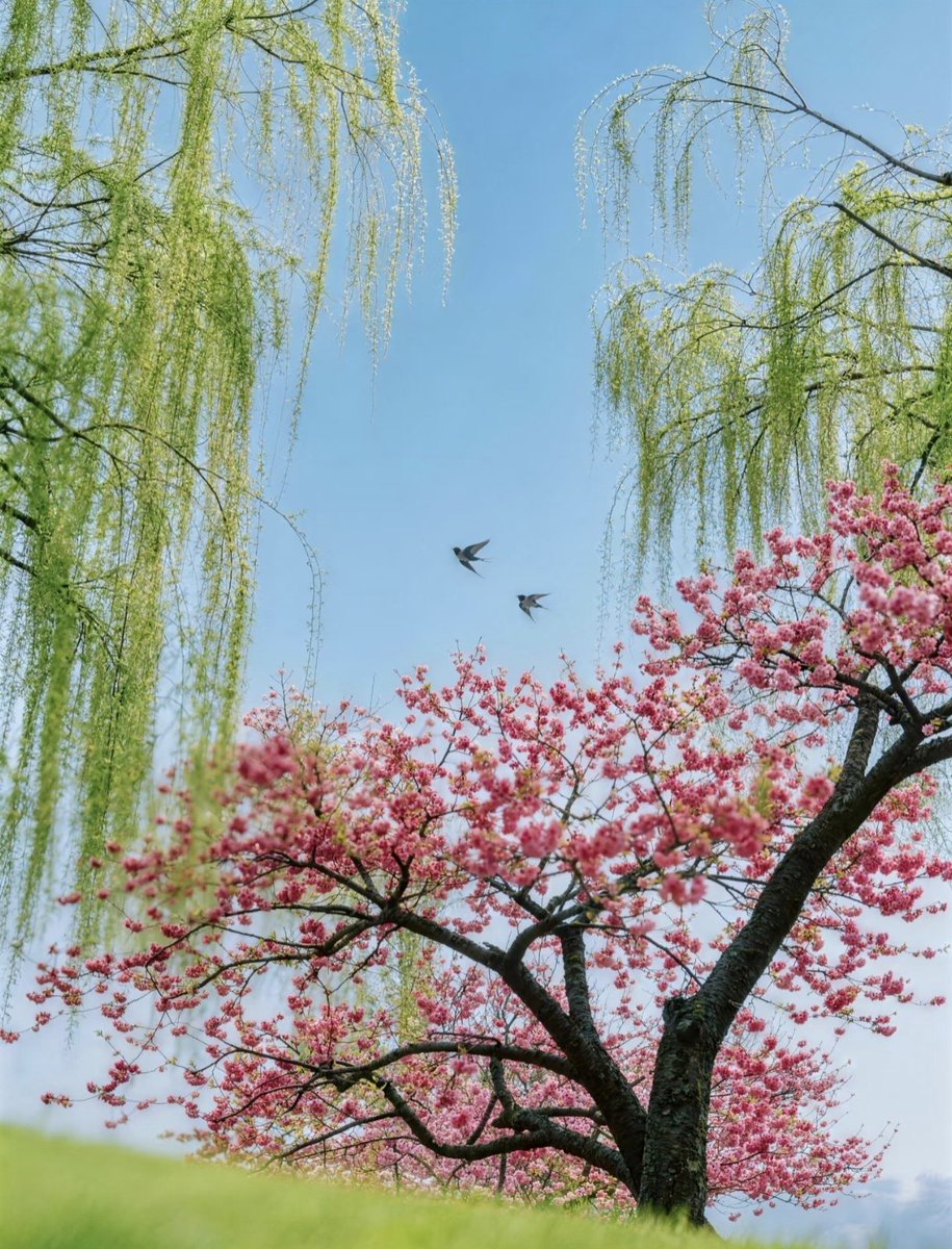 Ellen(互fo互赞冲10000） tweet media