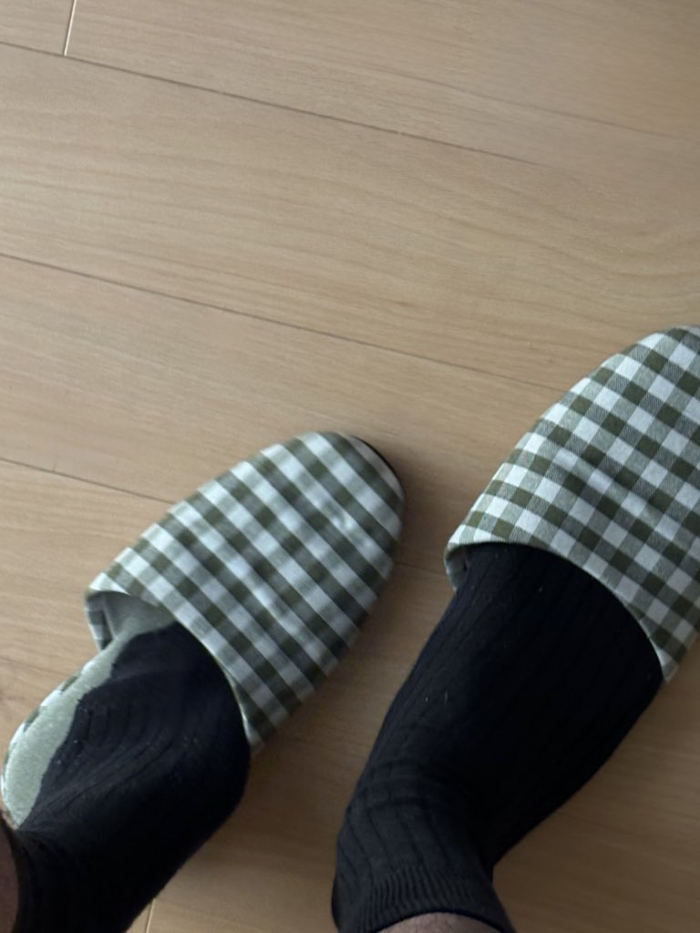 肉豆腐 tweet media