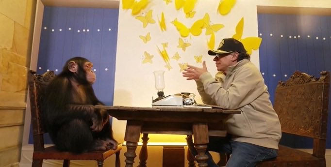 pioo 🪥 tweet media