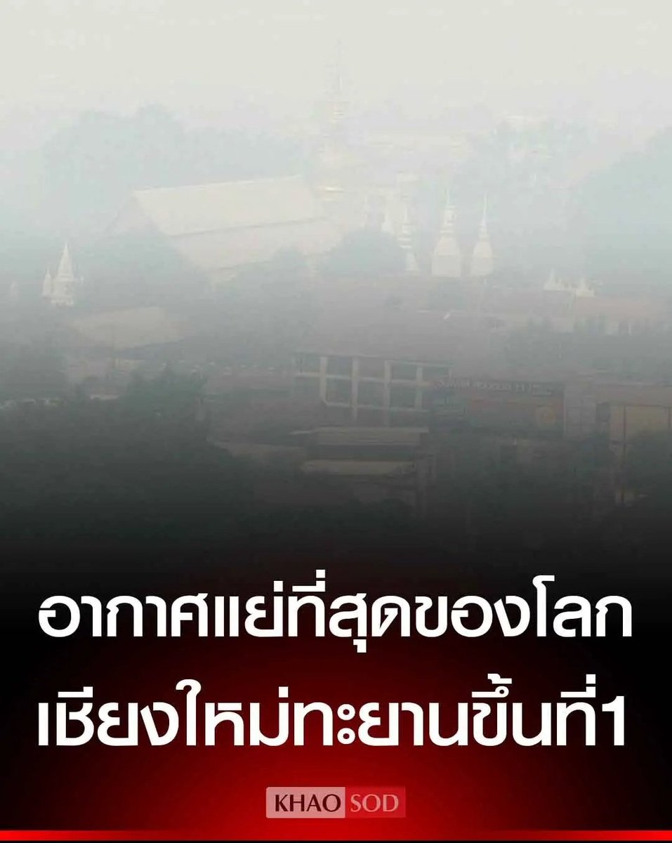 Tarot to youuuu tweet media