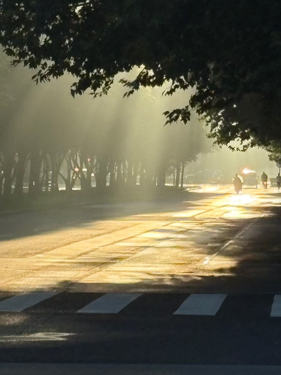 Johan Coetzee tweet media