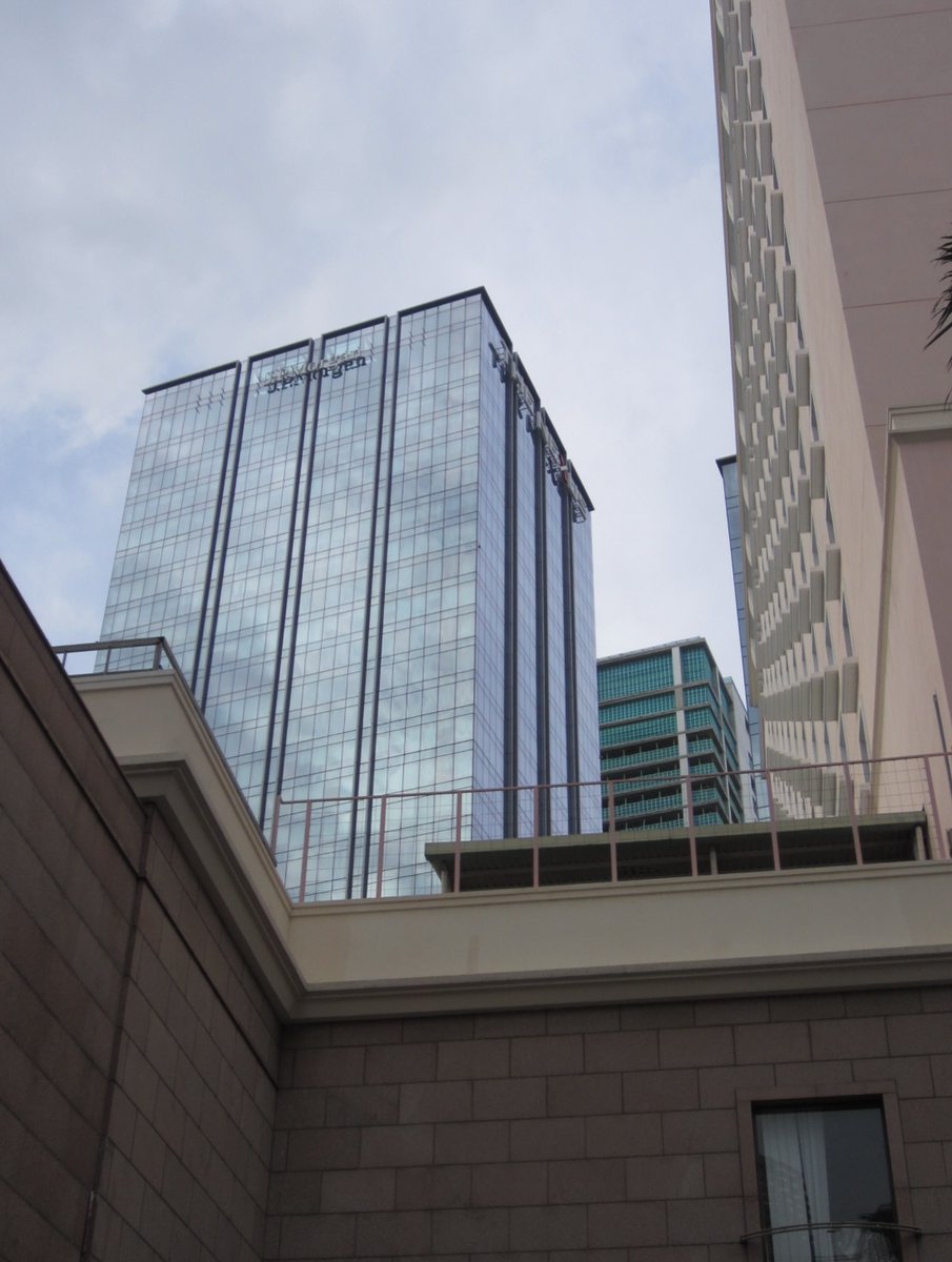 yoel gregorio tweet media