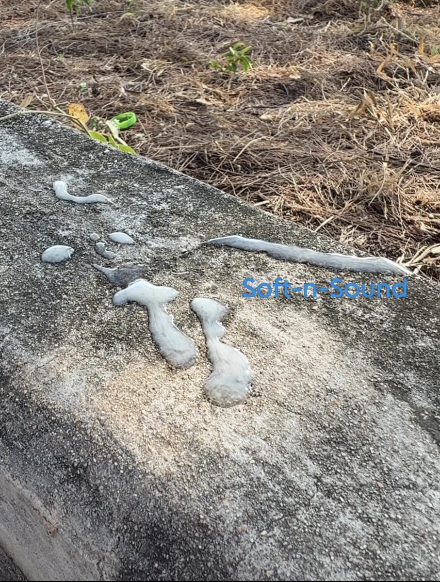 Soft-n-Sound tweet media