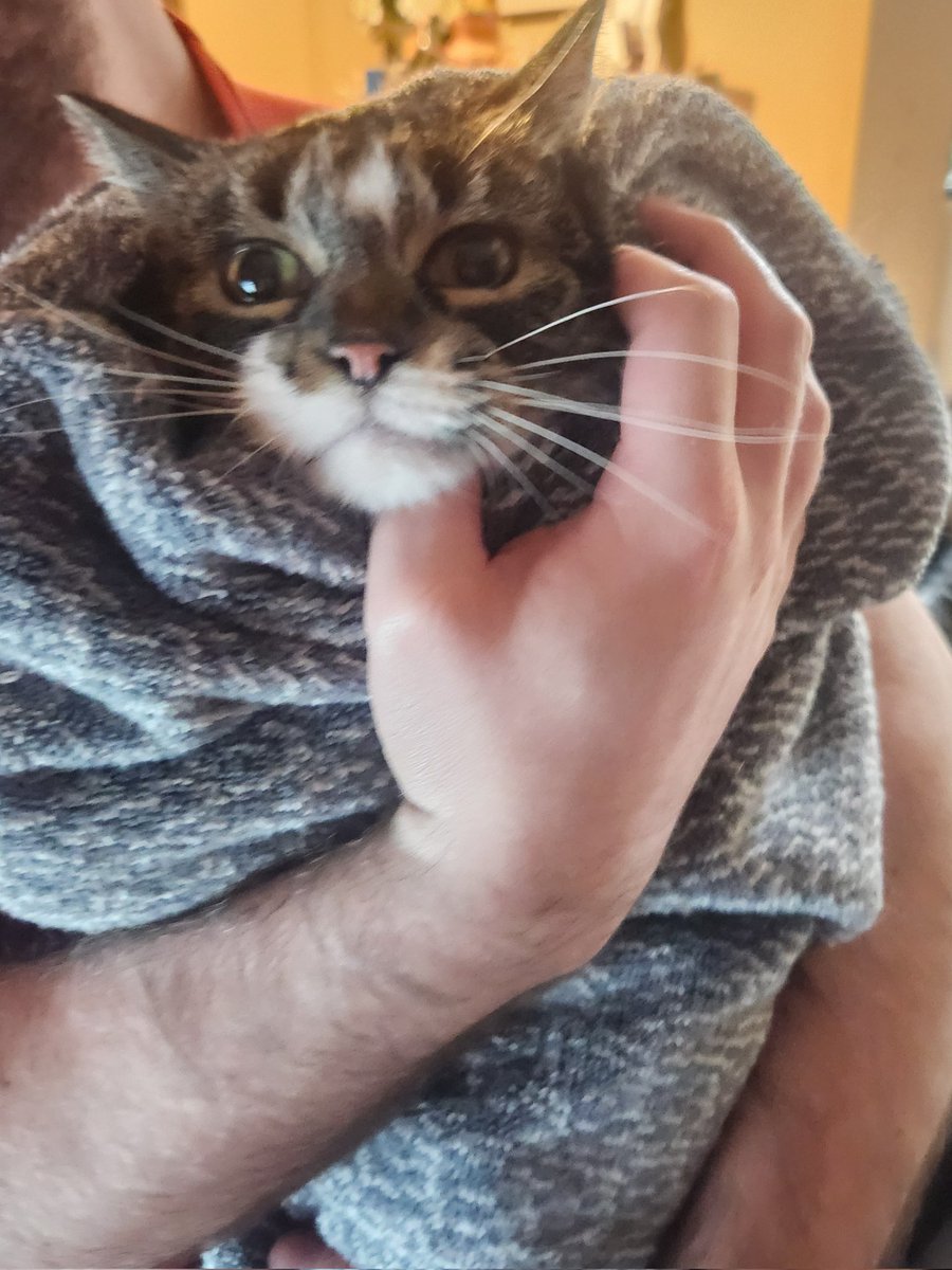 The Amazing Spider-Man!(Parody!) tweet media