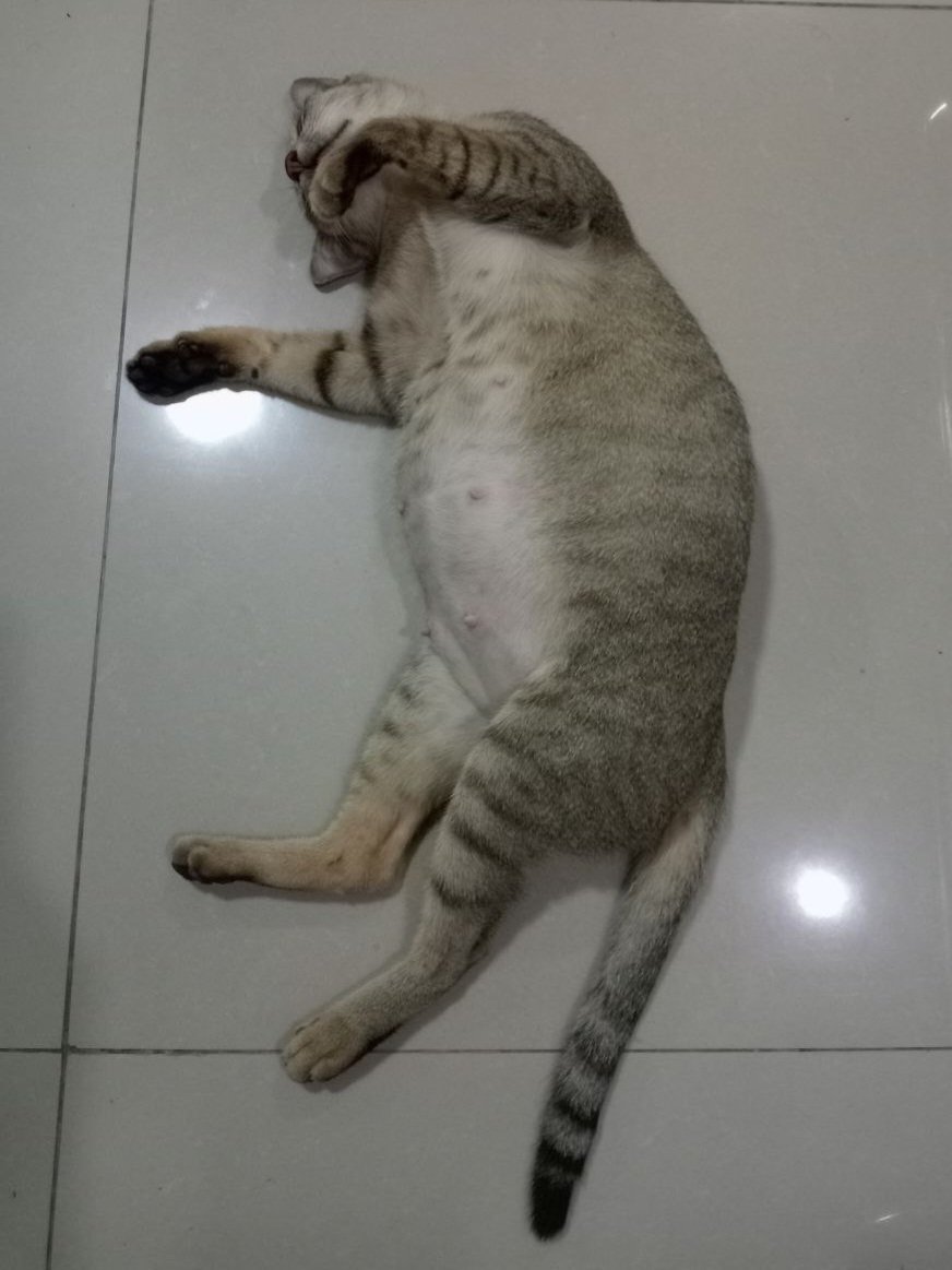 ︎ ︎︎ ︎︎ tweet media